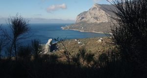 1050654646