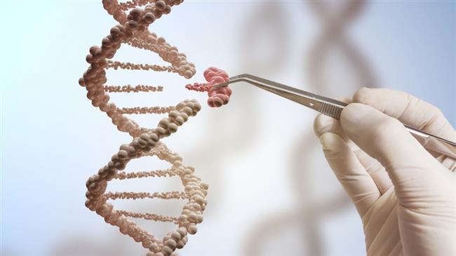 Scientists warn gene editing tool may raise cancer risk in cells