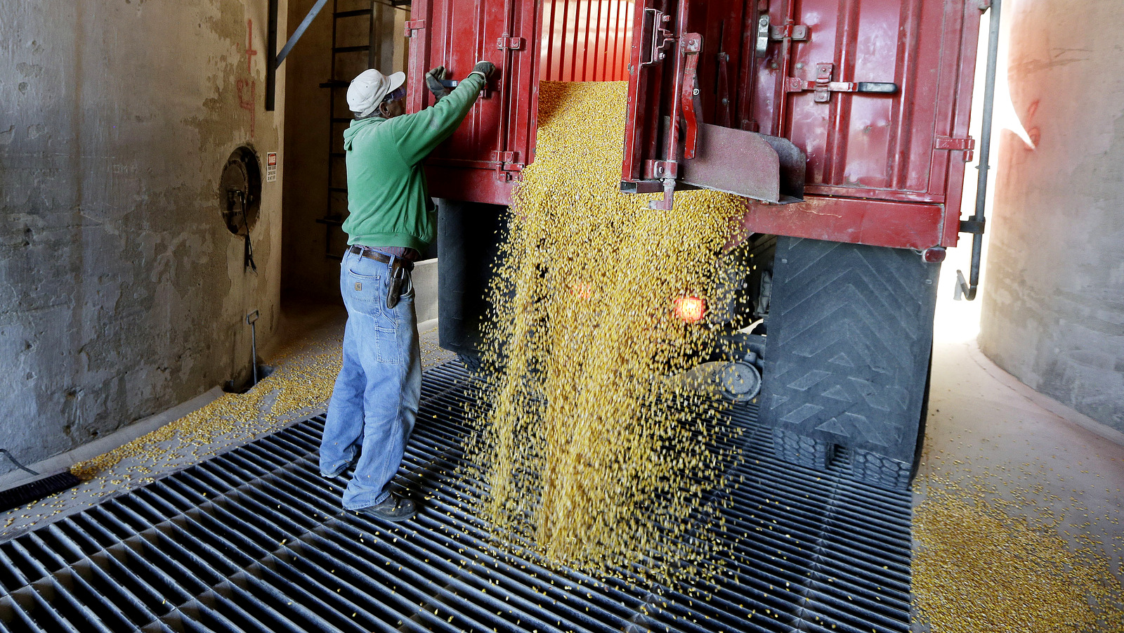 Black Tennessee Farmers Allege Seed Company Sold Them Defective Seeds to Run Them Out of Business