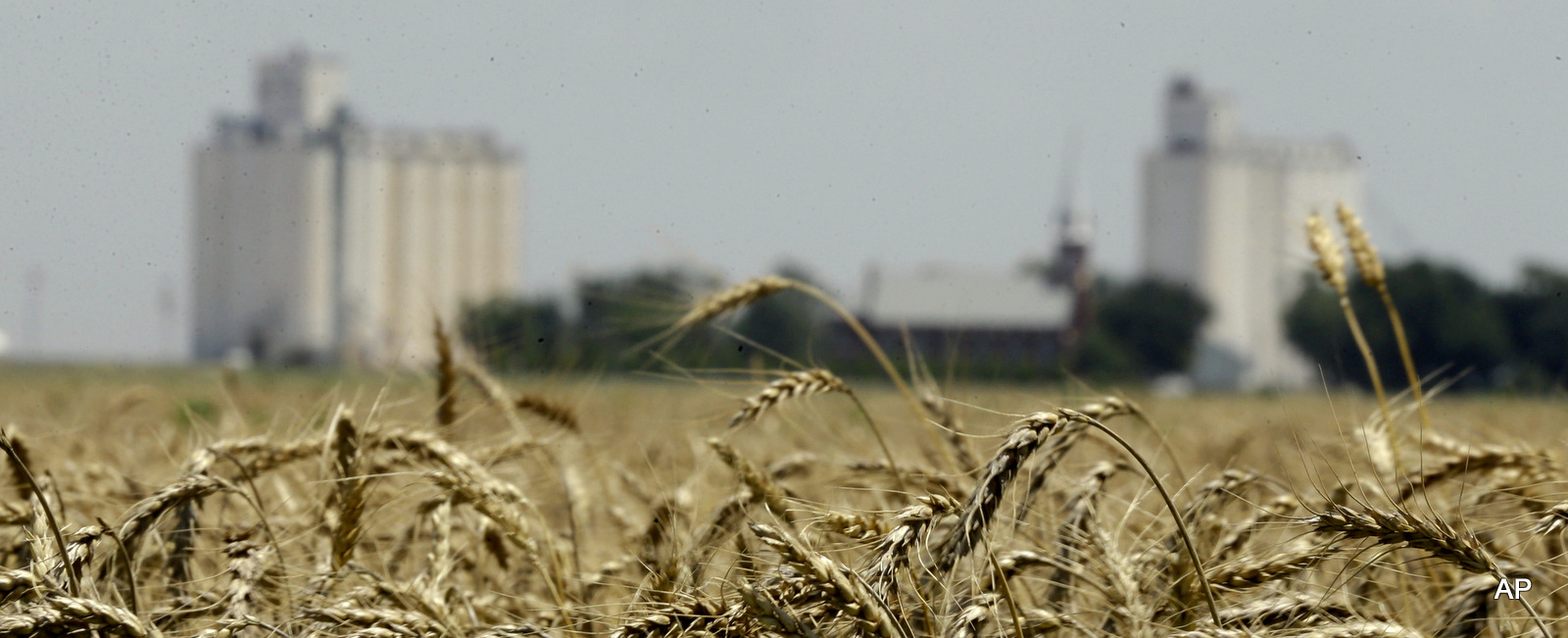 New Study Reveals Geoengineering May Lead to Lower Crop Yields
