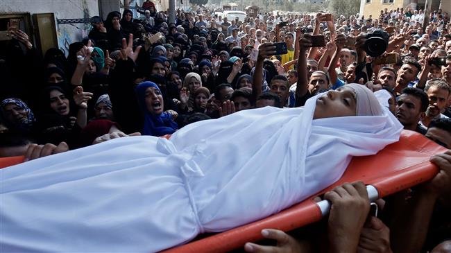  Israel wants to dwindle number of Palestinians to zero: Pundit