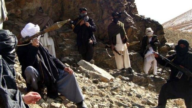 Afghan Taliban storm security posts in western province, killing 21