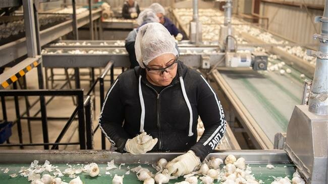 US job growth dramatically slows in May amid trade tensions