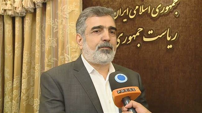 Iranian atomic official speaks to Press TV
