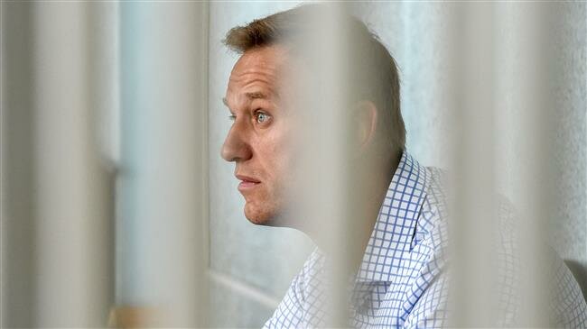 Putin critic hospitalized after ‘being poisoned with unknown chemical’