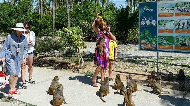 Vietnam’s Monkey Island draws tourists